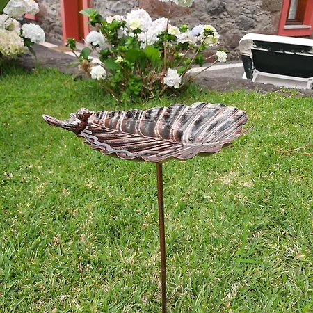 Feriehus Casa Da Ribeira *