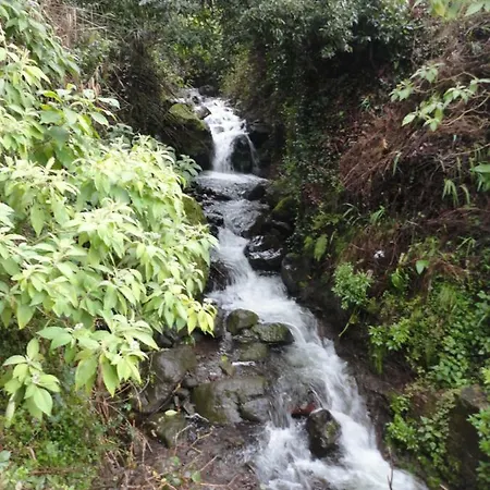 Сasa de vacaciones Casa Da Ribeira São Vicente