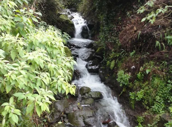 Σπίτι διακοπών Casa Da Ribeira São Vicente